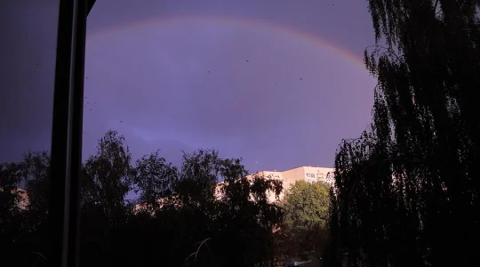 Բրովարի