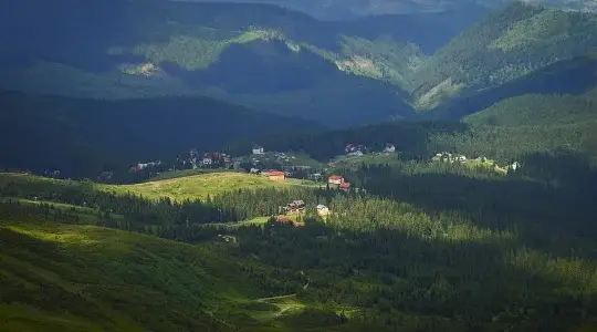 Dragobrat